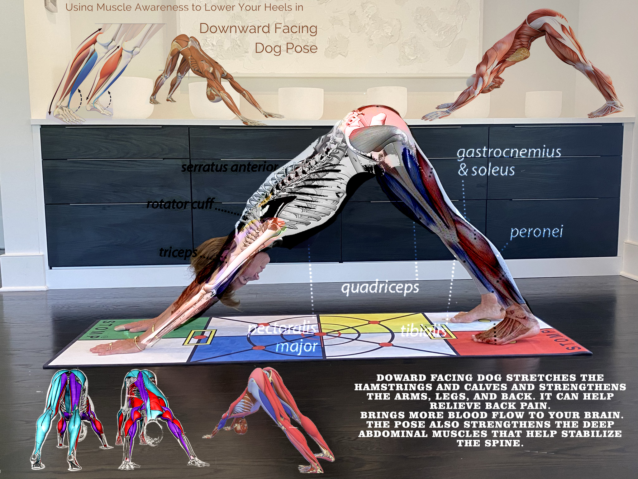Full Body Workout