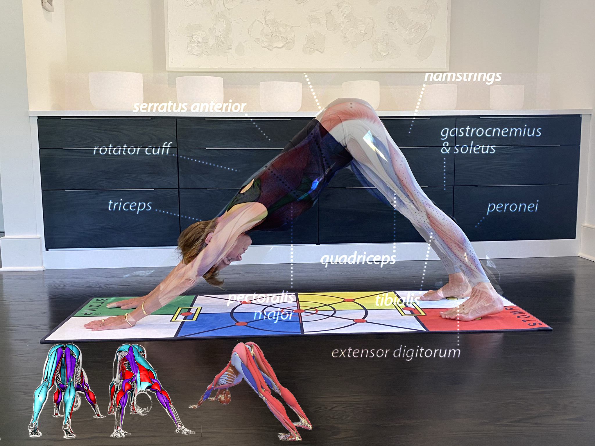 Yoga Pose